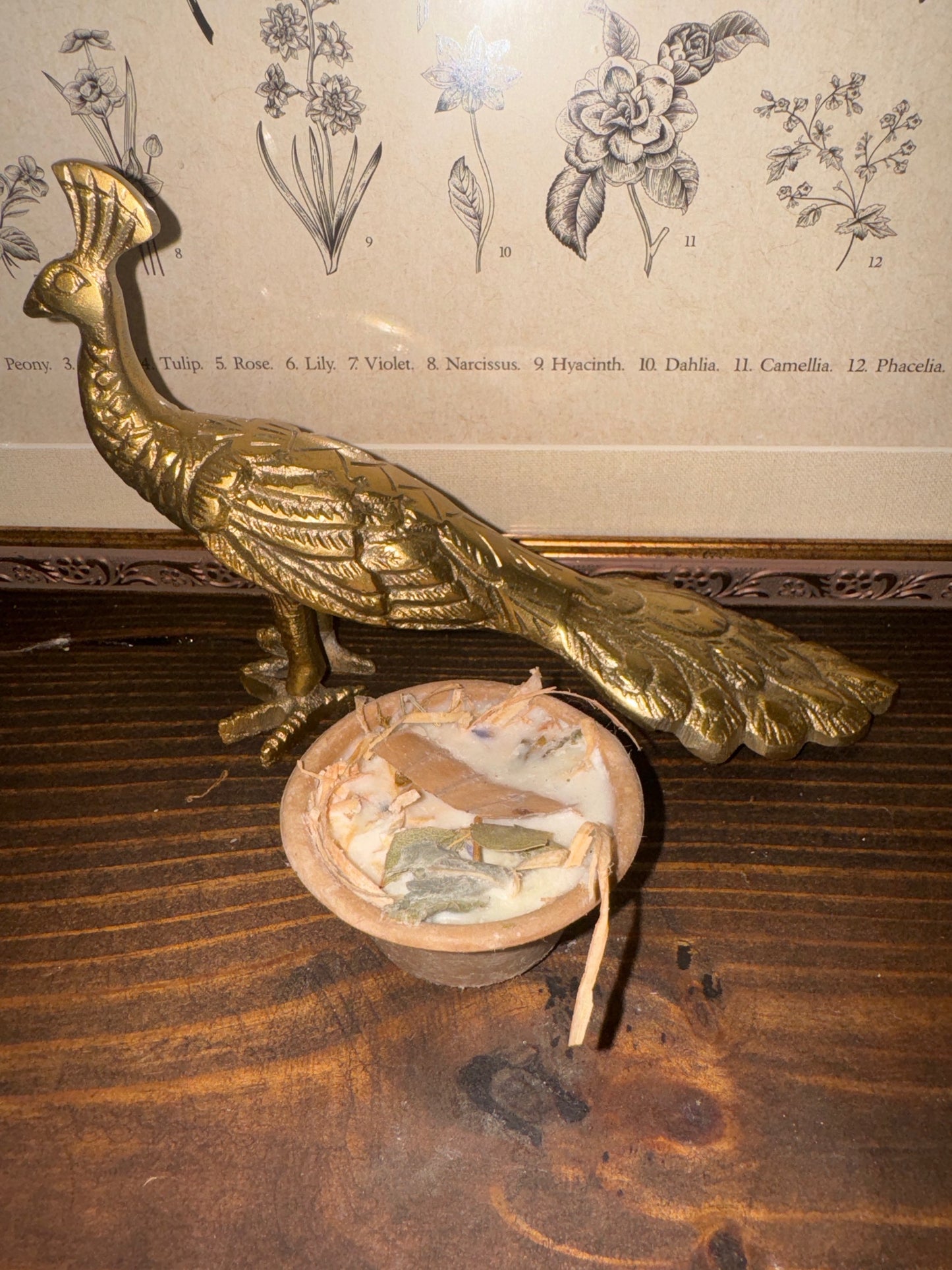 Fire starters image 2