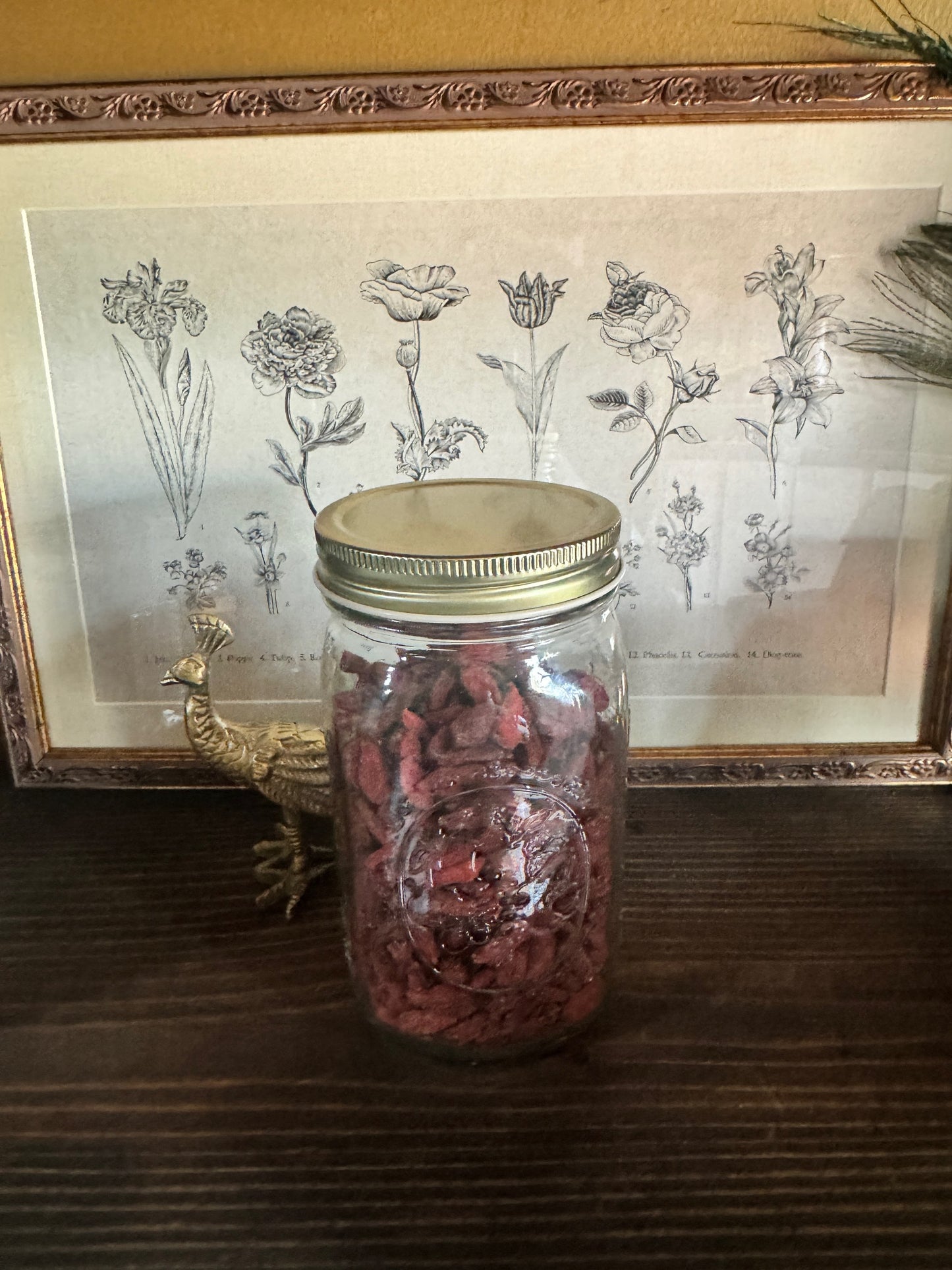 Gojiberry | Wolfberry| Bulk Herb image 0