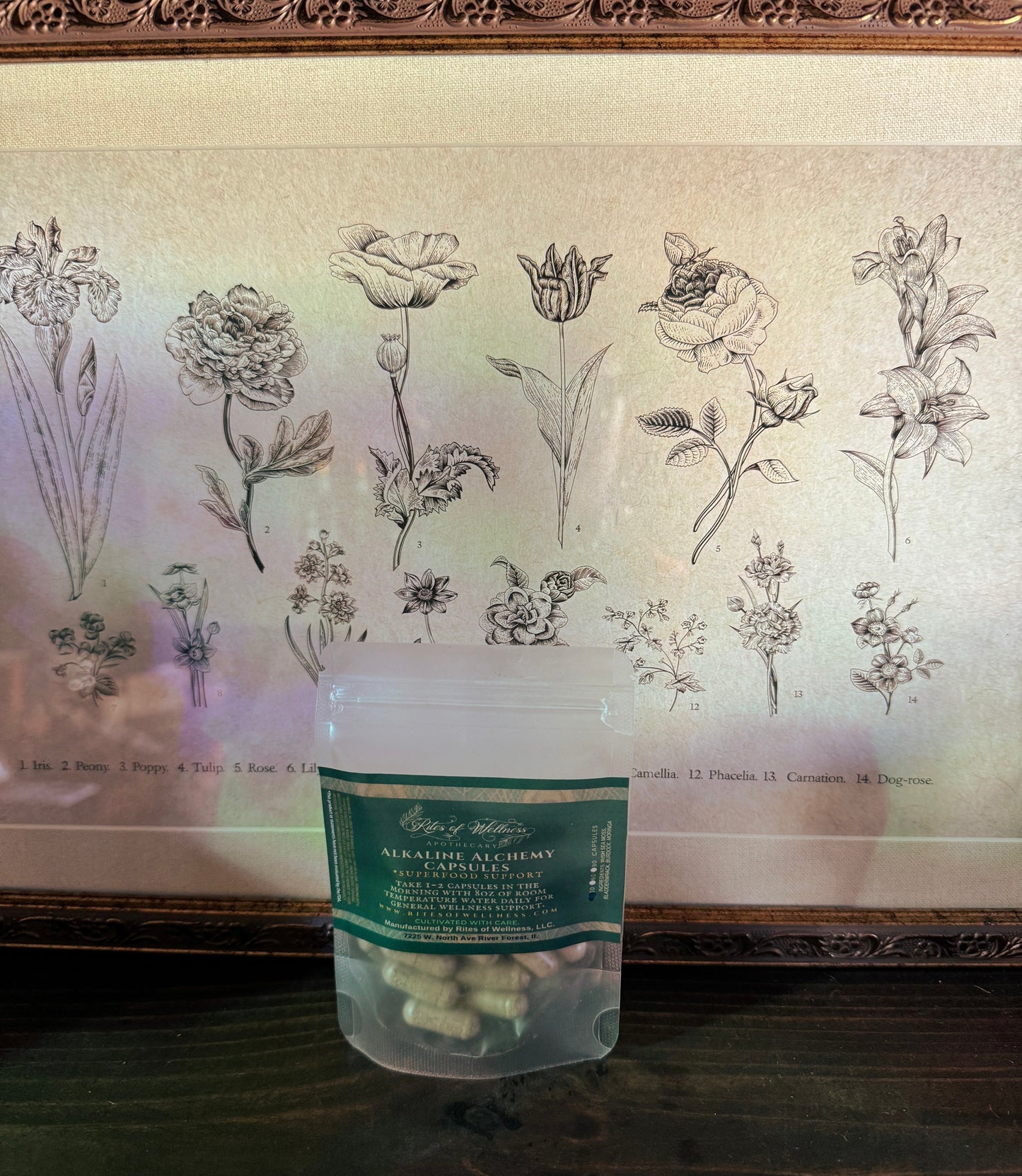 Alkaline Alchemy Capsules | Seamoss image 1