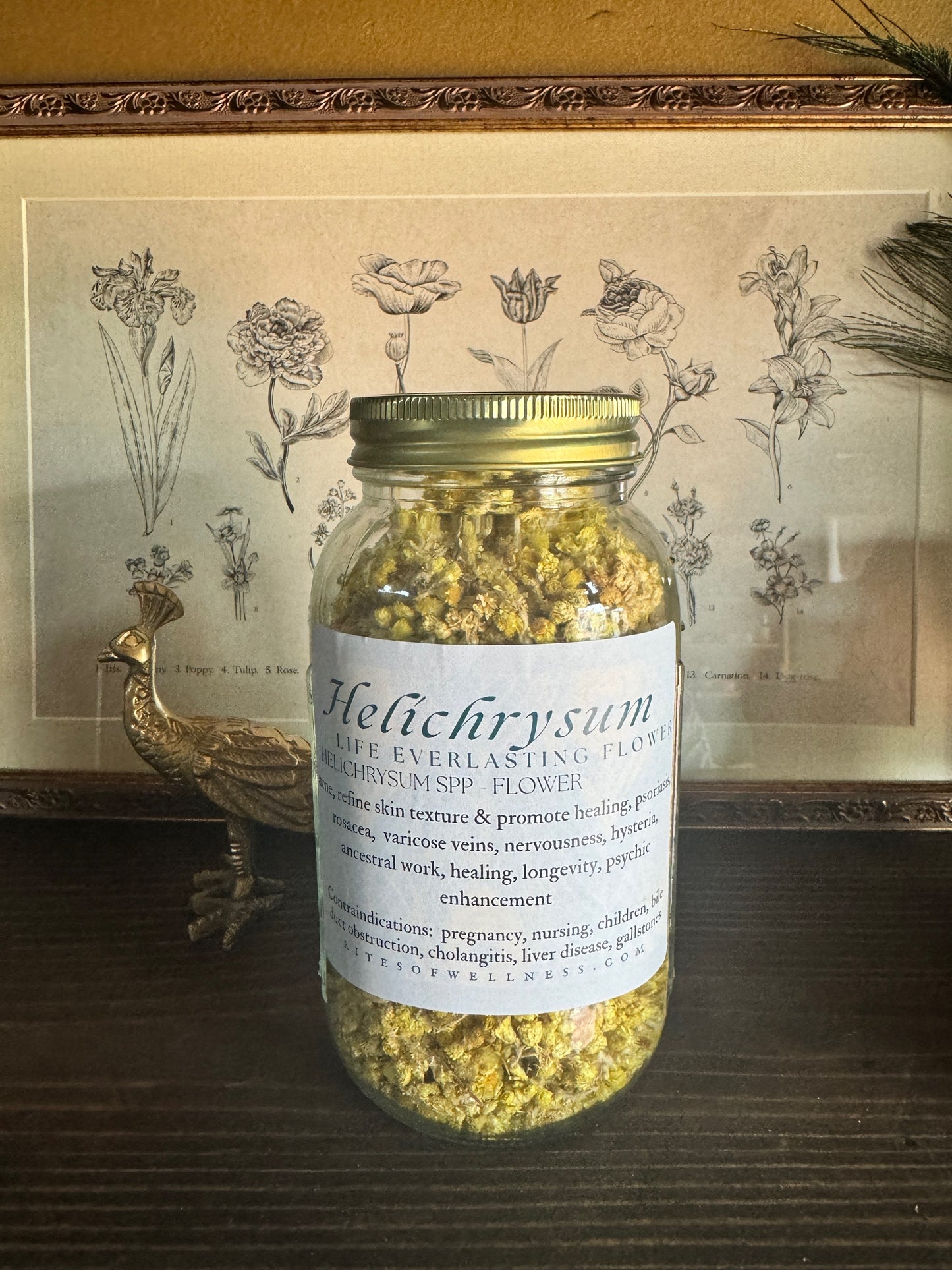 Helichrysum Flower | Bulk Herb image 0