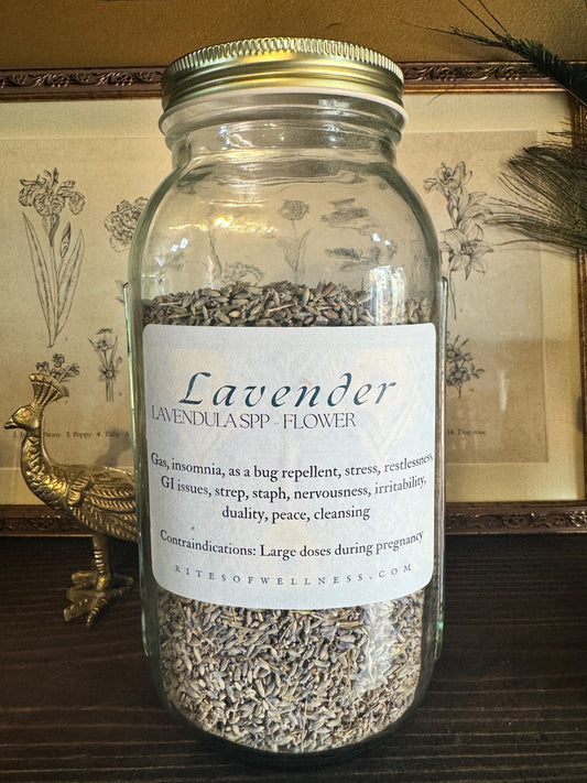 Lavender flower | Bulk Herb image 0