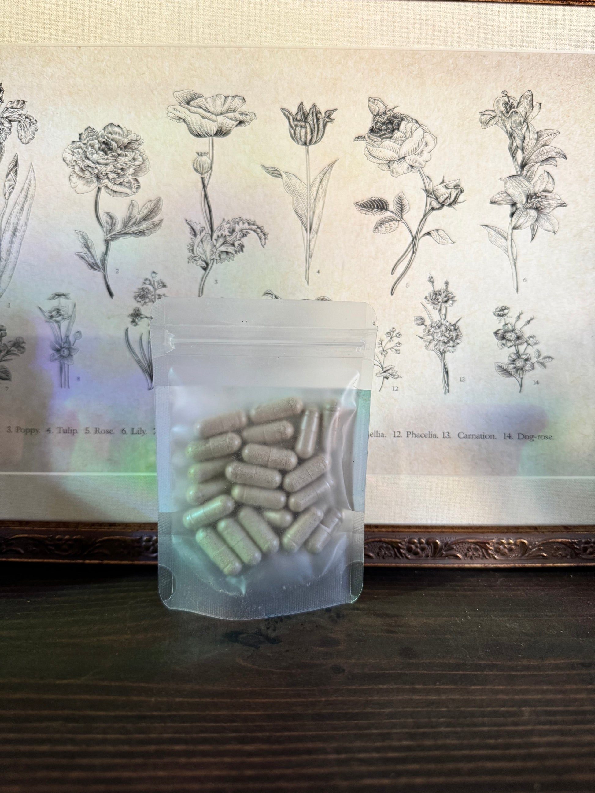 Alkaline Alchemy Capsules | Seamoss  image 2