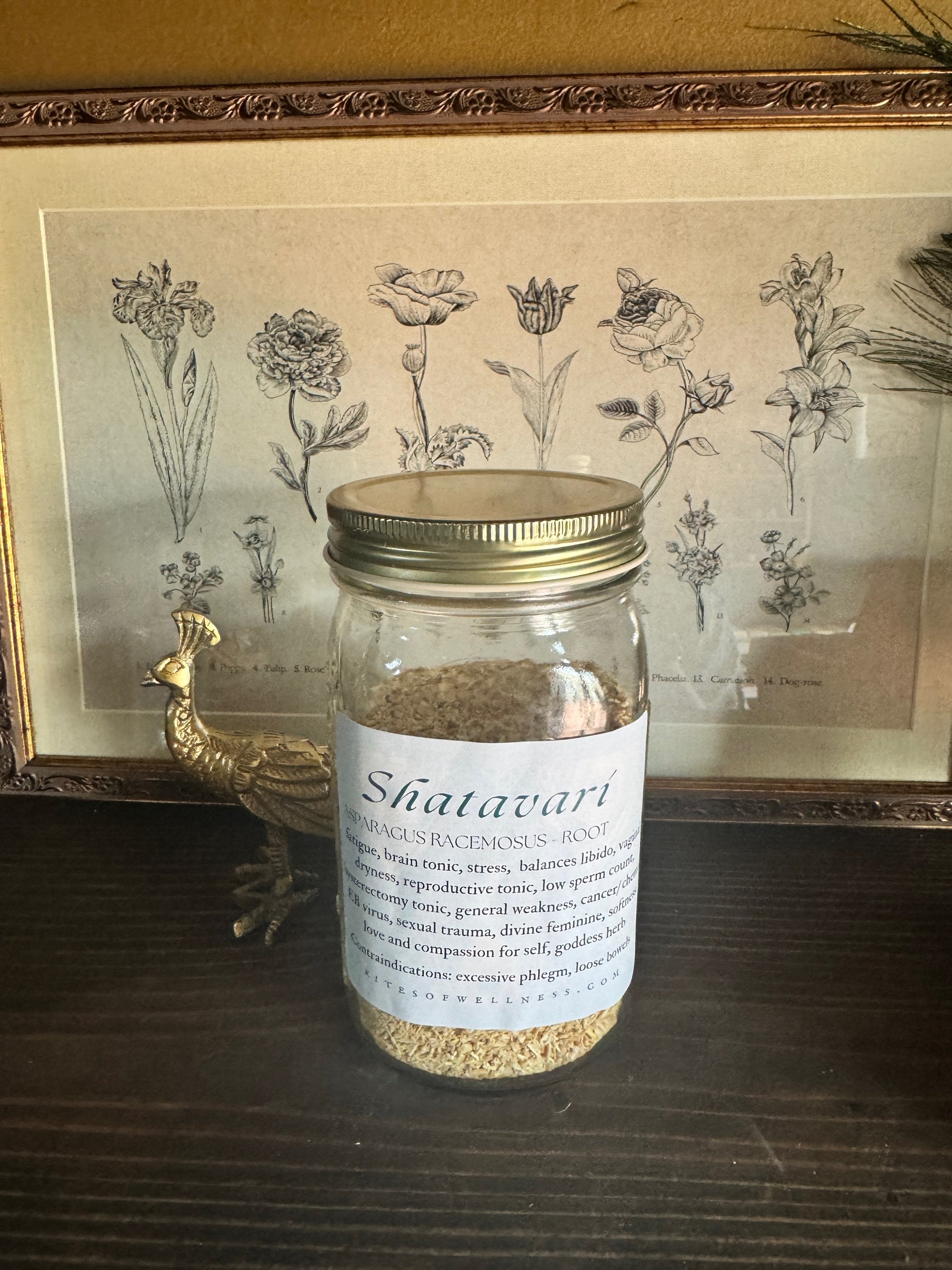 Shatavari Root | Bulk Herb image 0