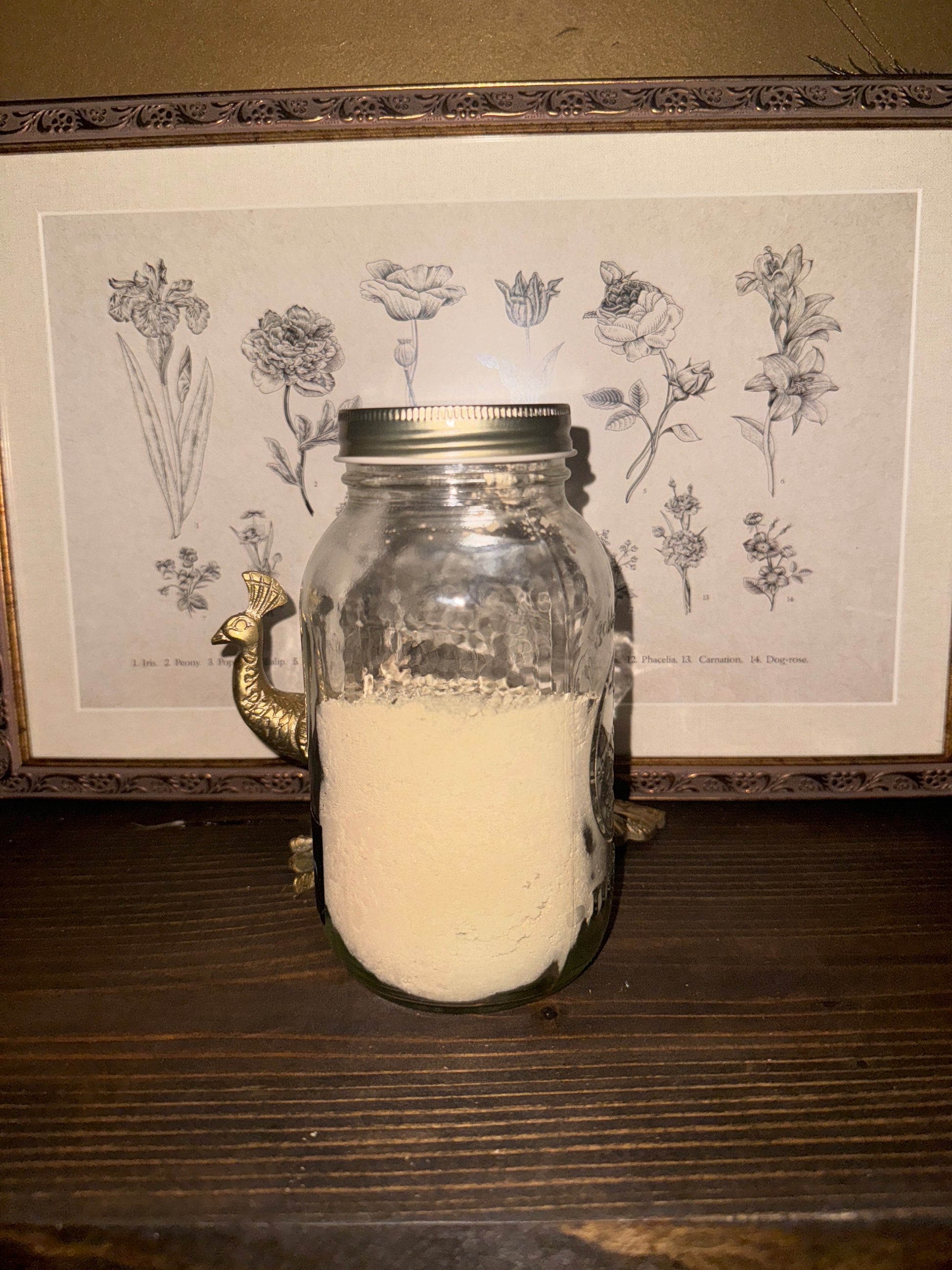 Kelp powder | Brown Algae | Bulk Herb image 0