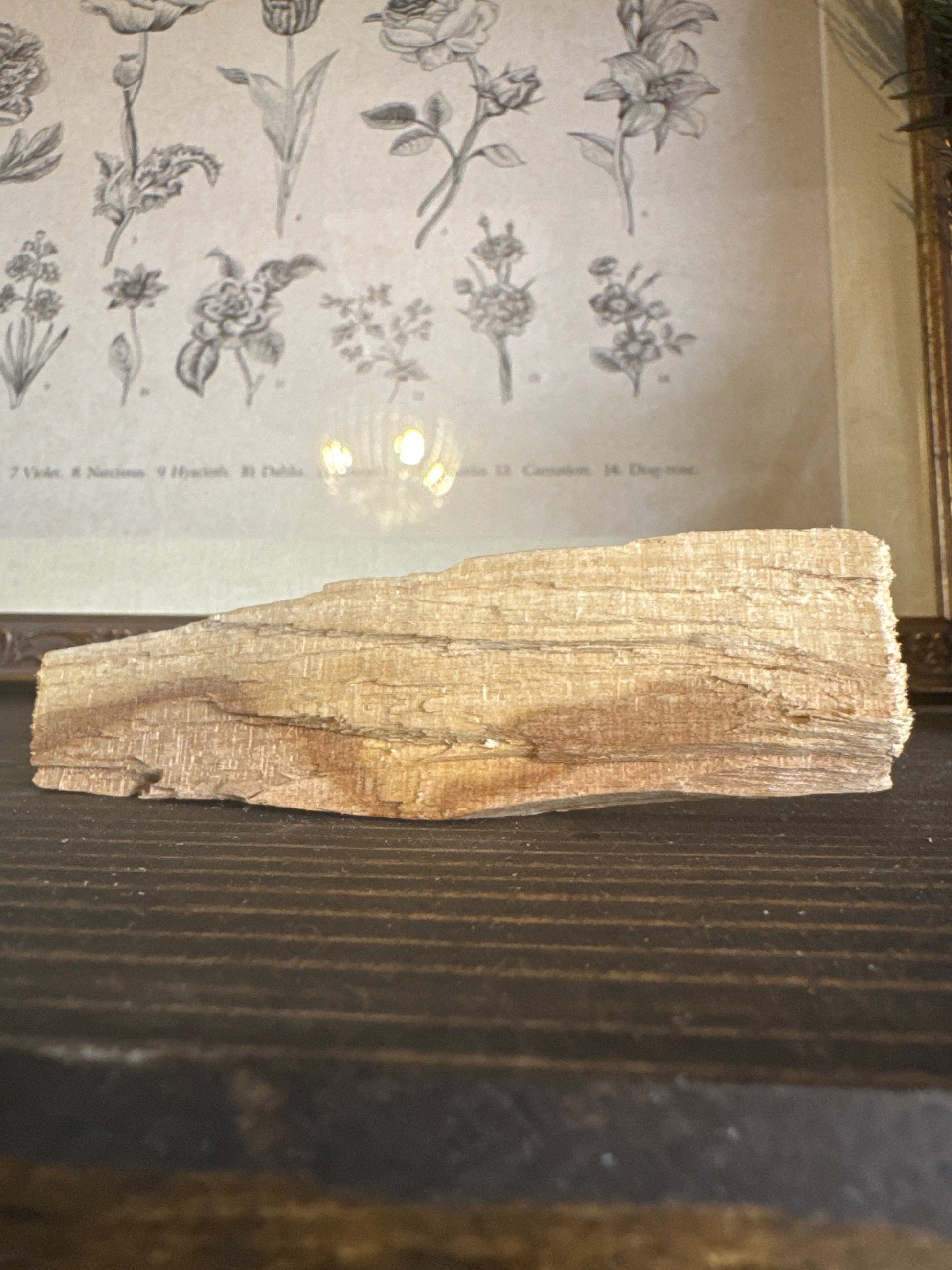 Palo Santo image 1