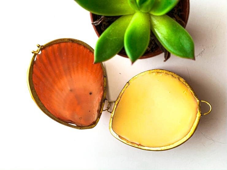 Seashell Salves &  Lip balm image 1