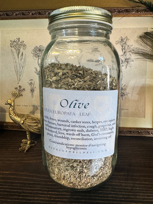 Olive leaf  | Bulk Herb image 0