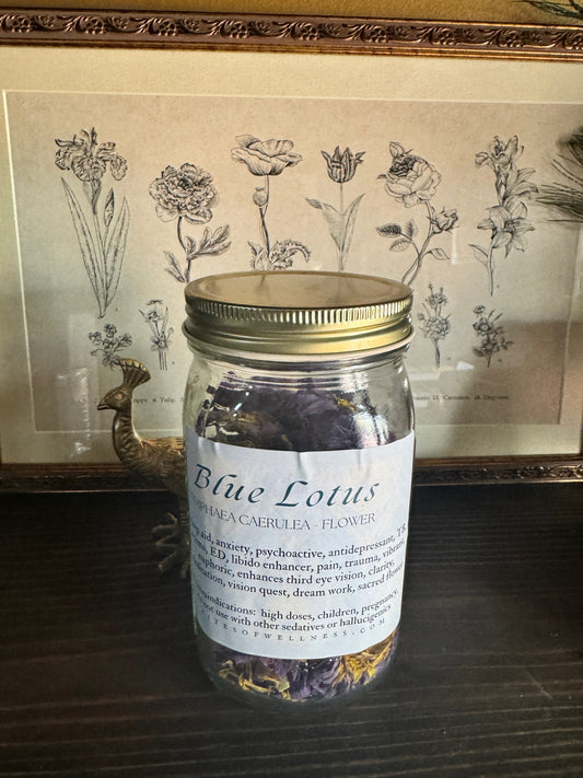 Blue Lotus flower  | Bulk Herb image 0