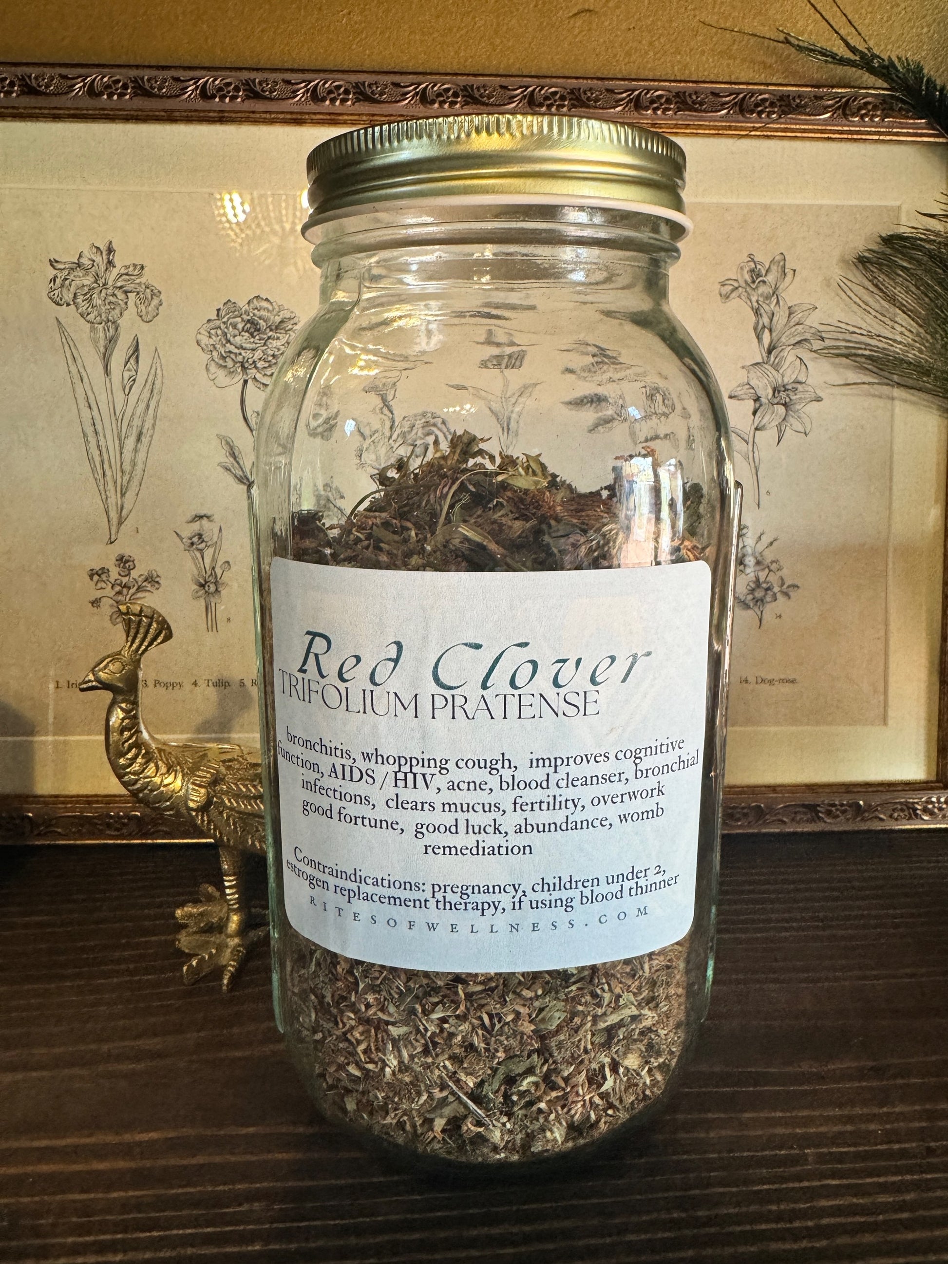 Red Clover Flower | Bulk Herb image 0
