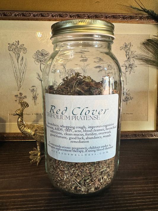 Red Clover Flower | Bulk Herb image 0