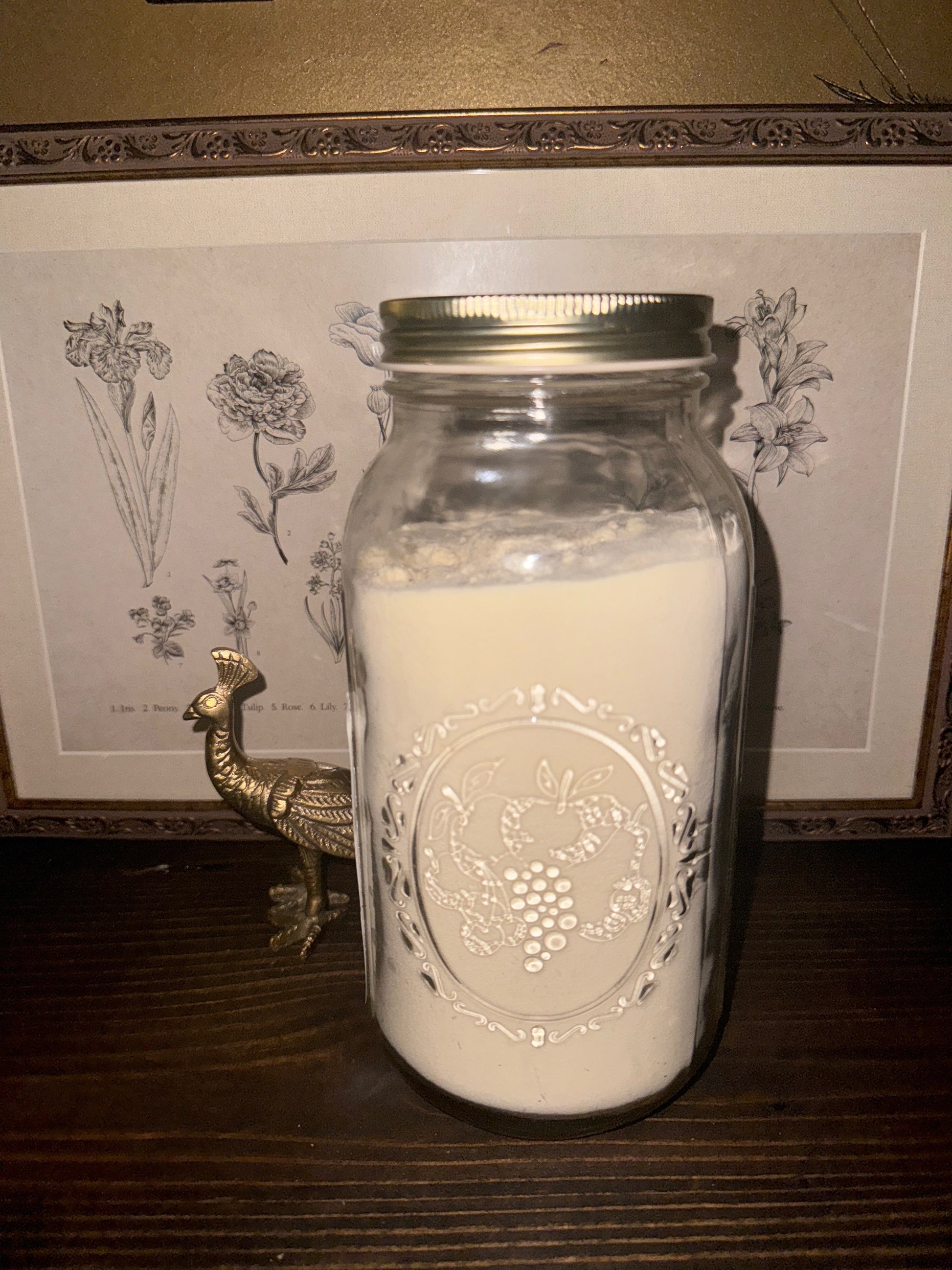 Whole Milk Powder | Bulk Herb image 0