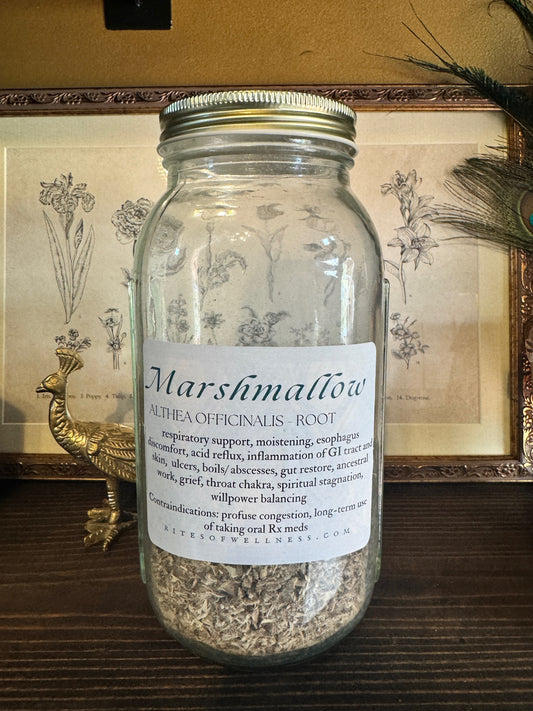 Marshmallow Root | Bulk Herb image 0