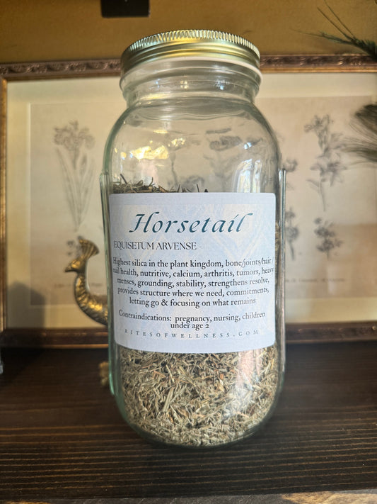 Horsetail Herb | Shavegrass | Bulk Herb image 0