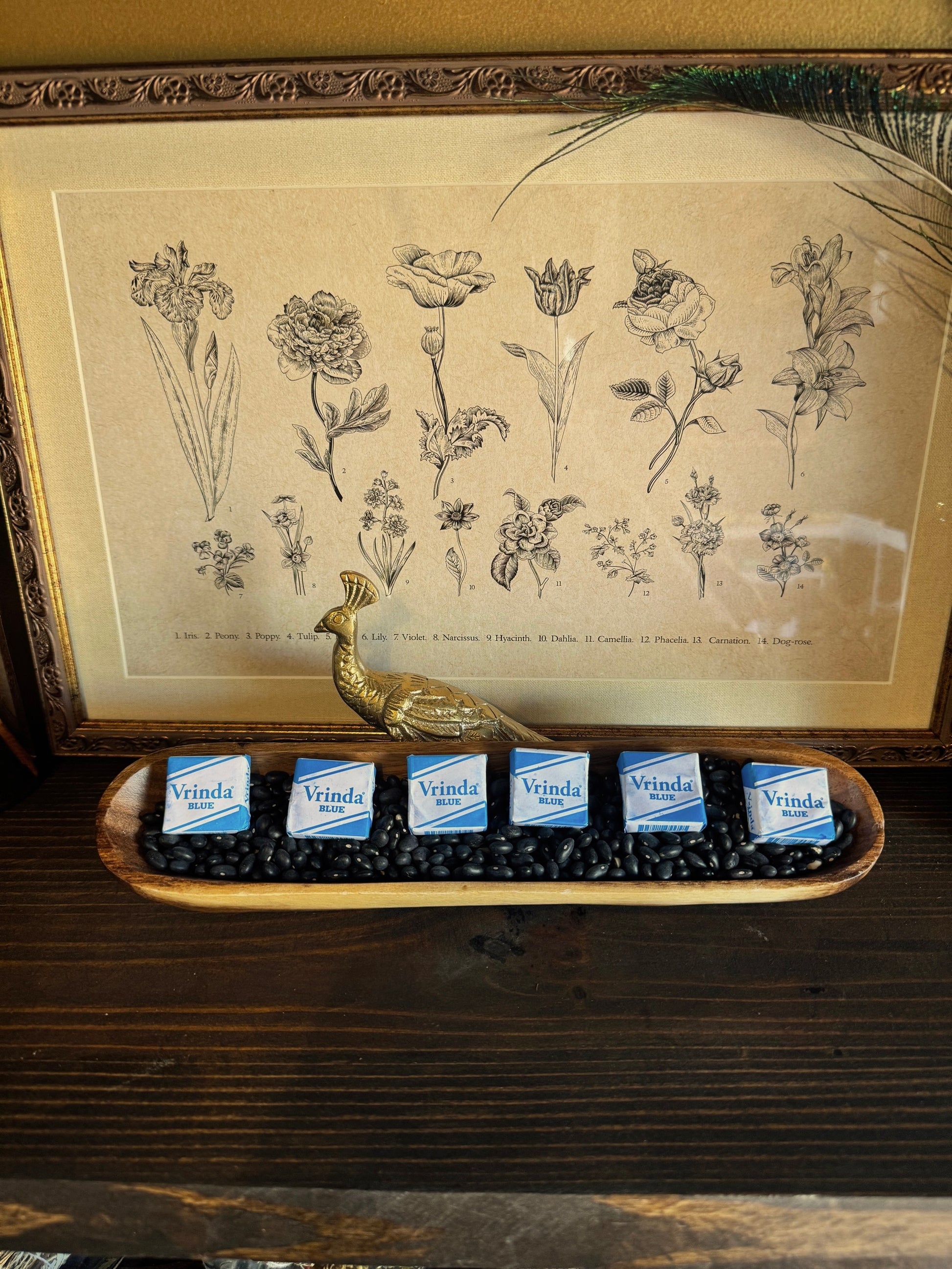 Blue Anil | Vrinda image 0