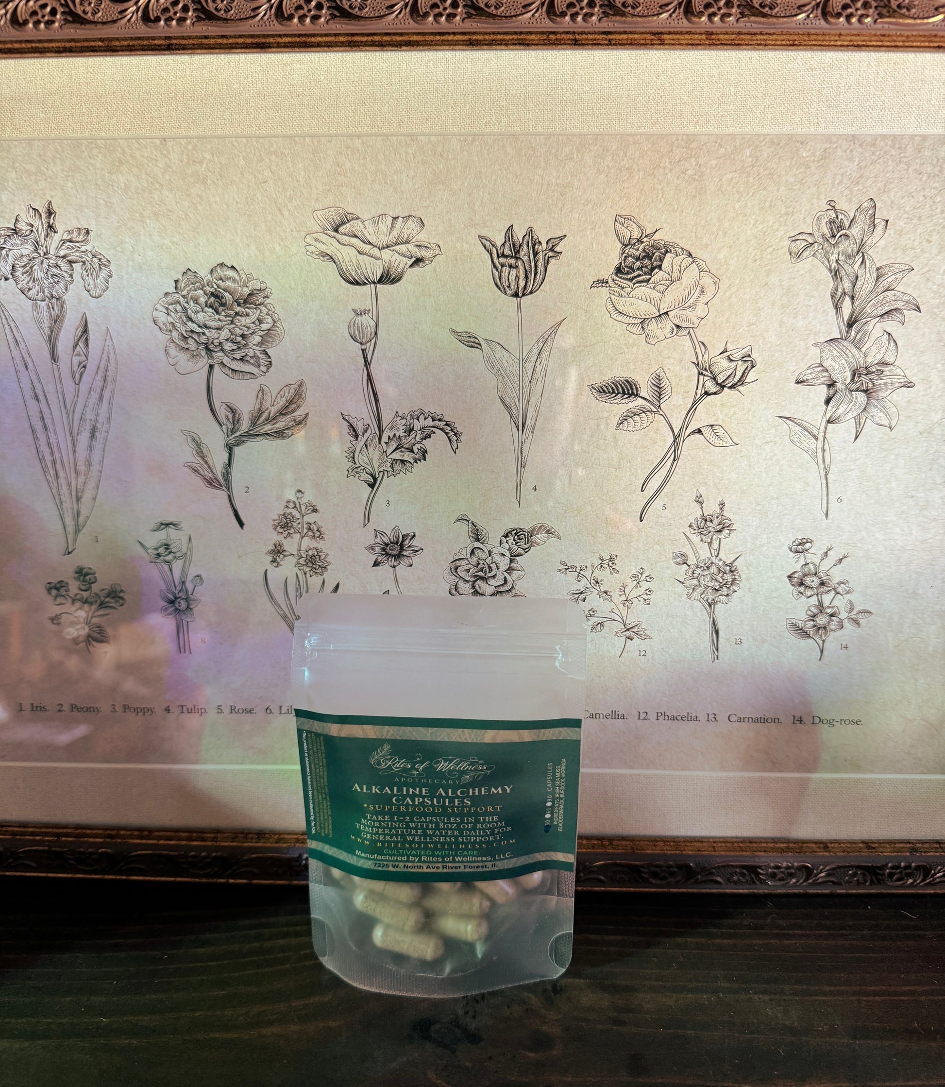 Alkaline Alchemy Capsules | Seamoss  image 1