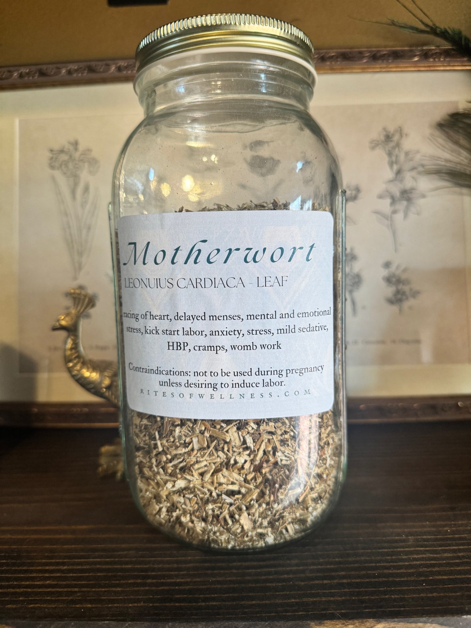 Motherwort | Bulk Herb image 0