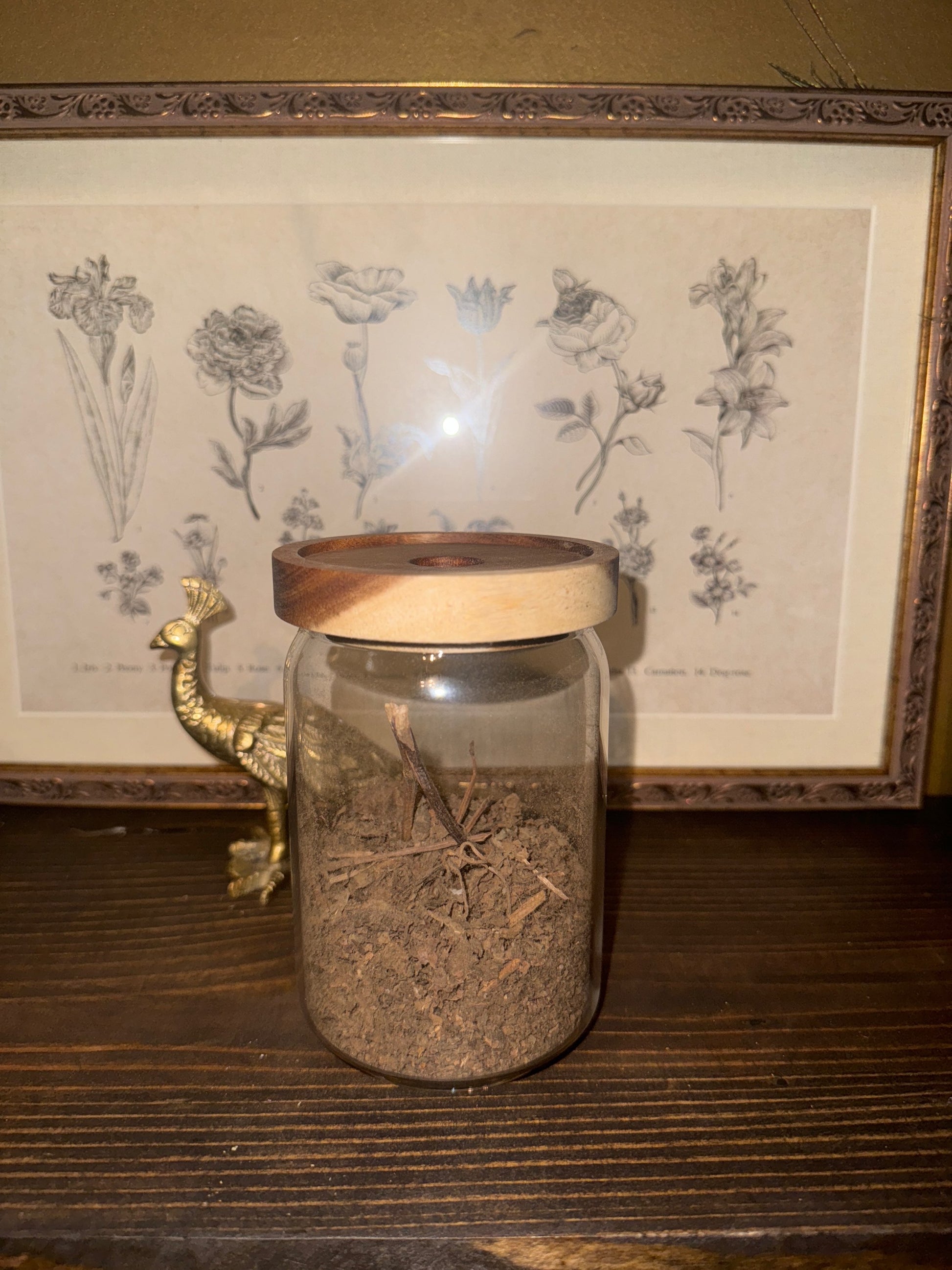 Patchouli Herb | Bulk Herb image 0