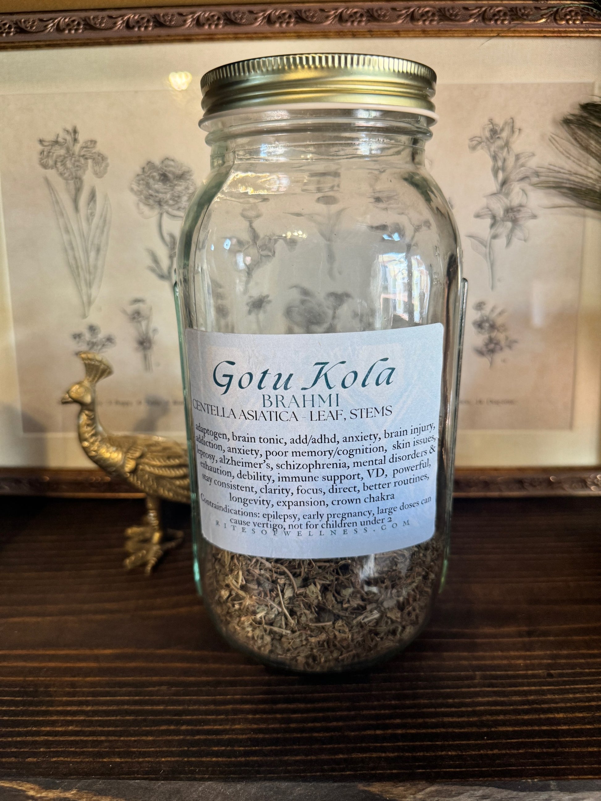 Gotu Kola | Bulk Herb image 0