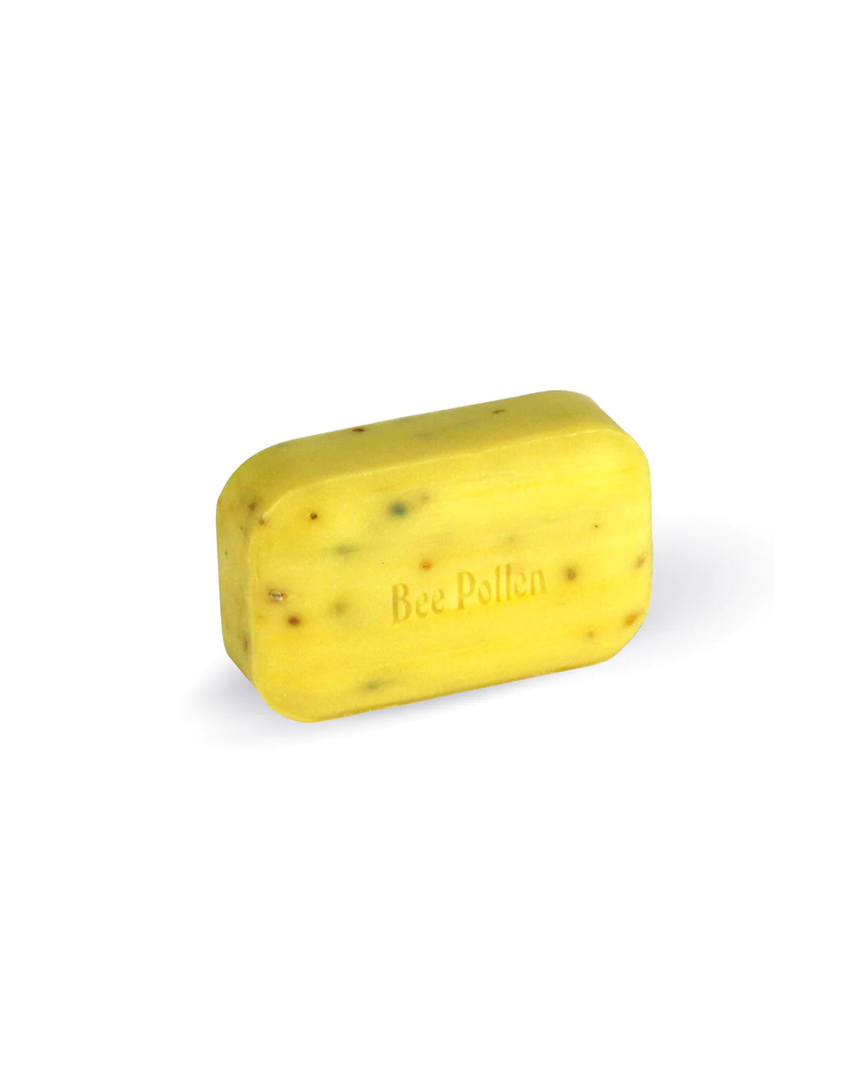 Plant-based Soap | Shampoo image 10