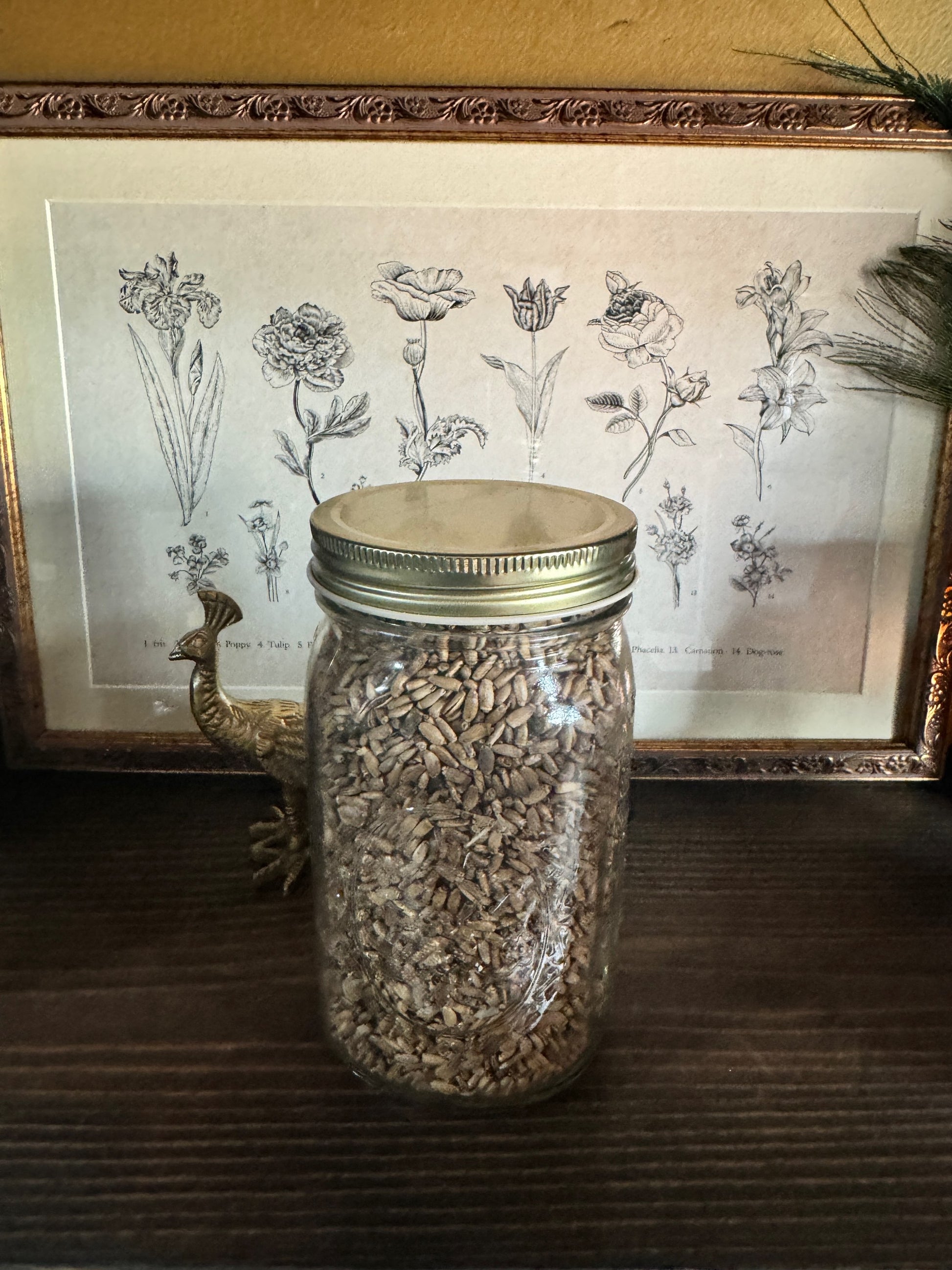 Milk Thistle Seed image 0