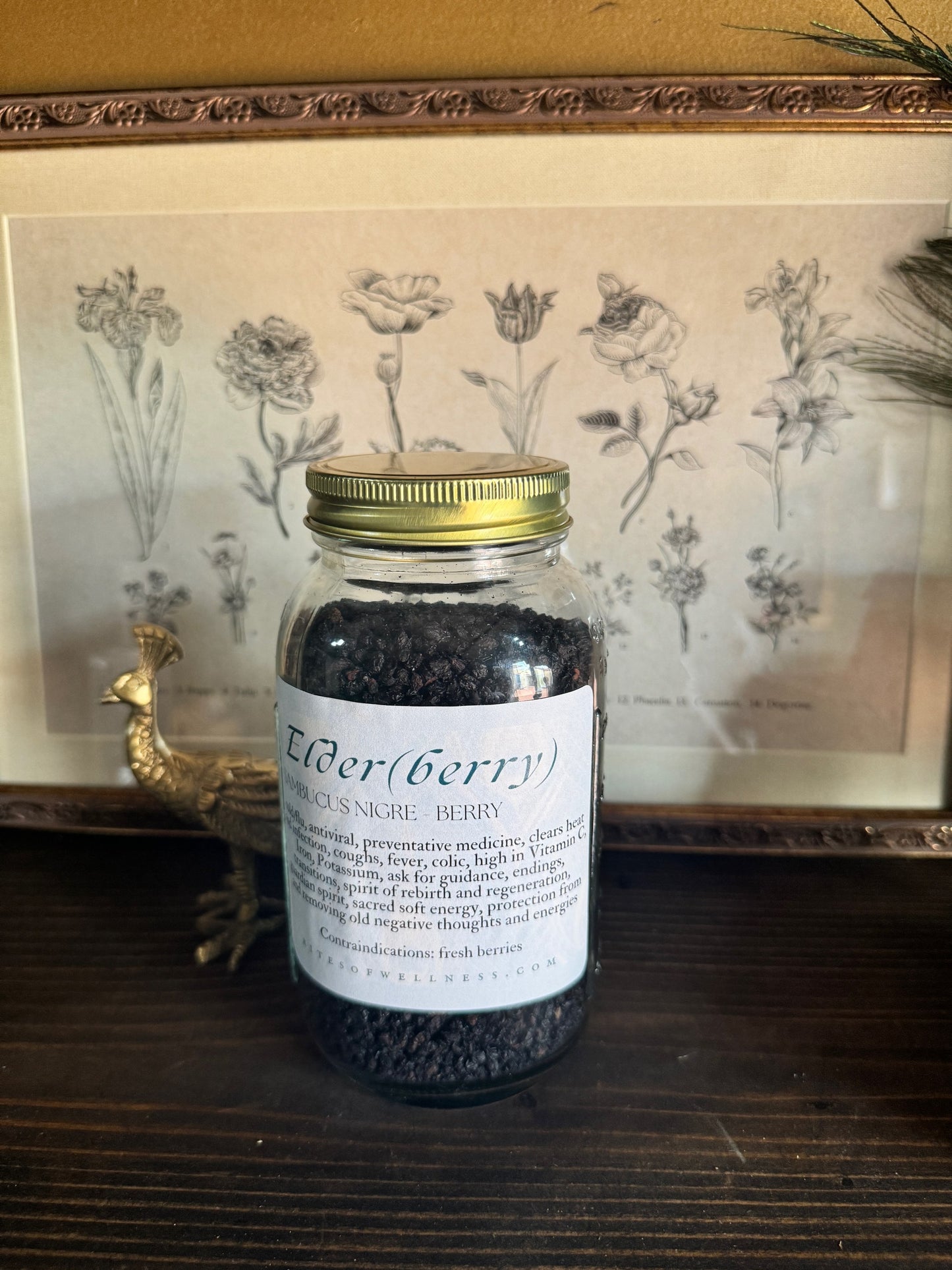 Elderberry | Bulk Herb image 0