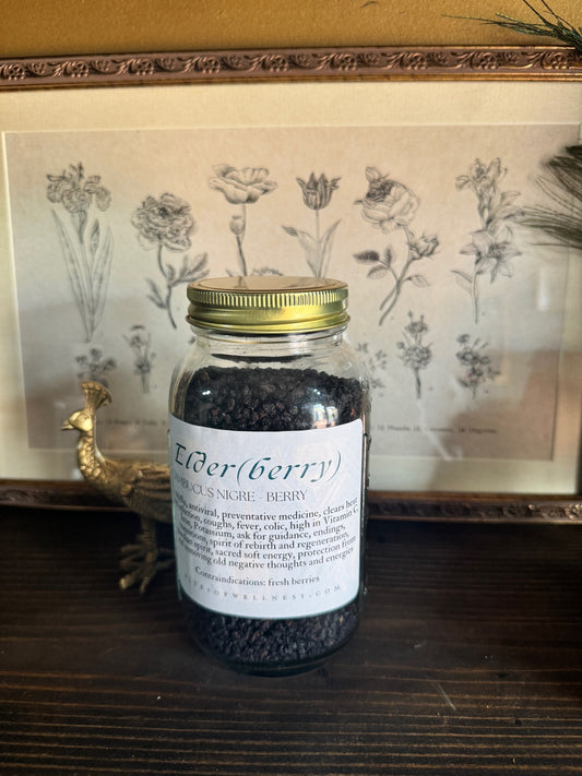 Elderberry | Bulk Herb image 0