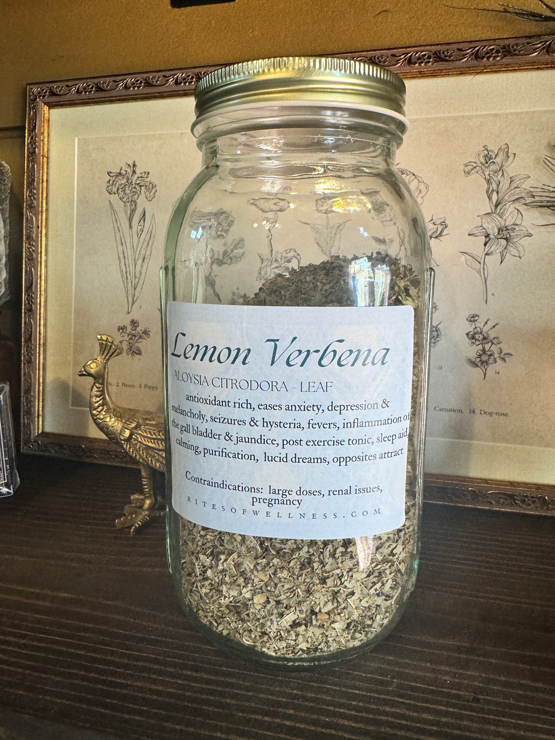 Lemon Verbena | Bulk Herb image 0